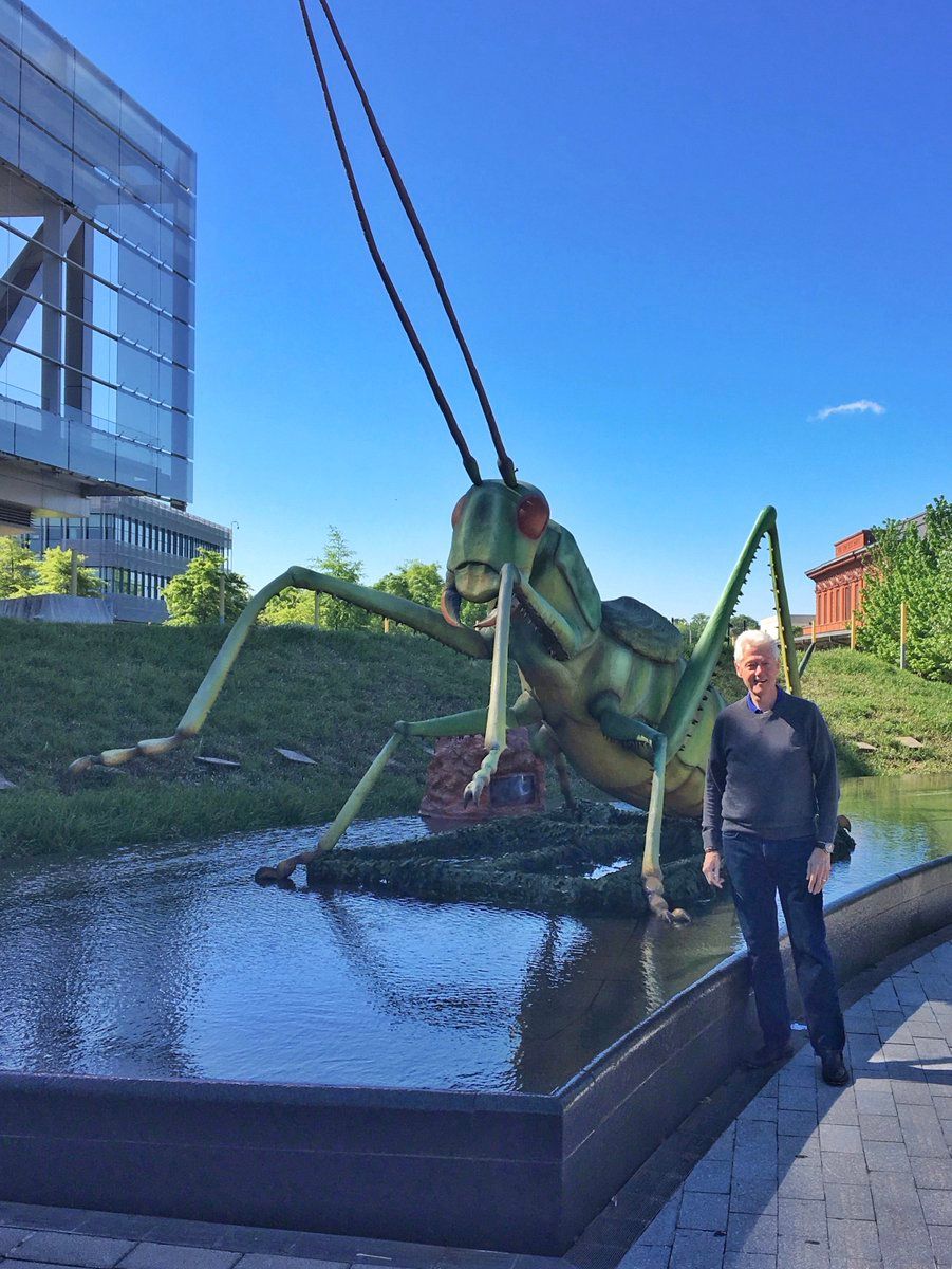 oh my god twitter doesn’t include alt text from images in their API