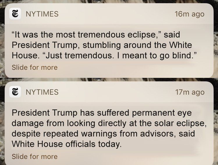 oh my god twitter doesn’t include alt text from images in their API