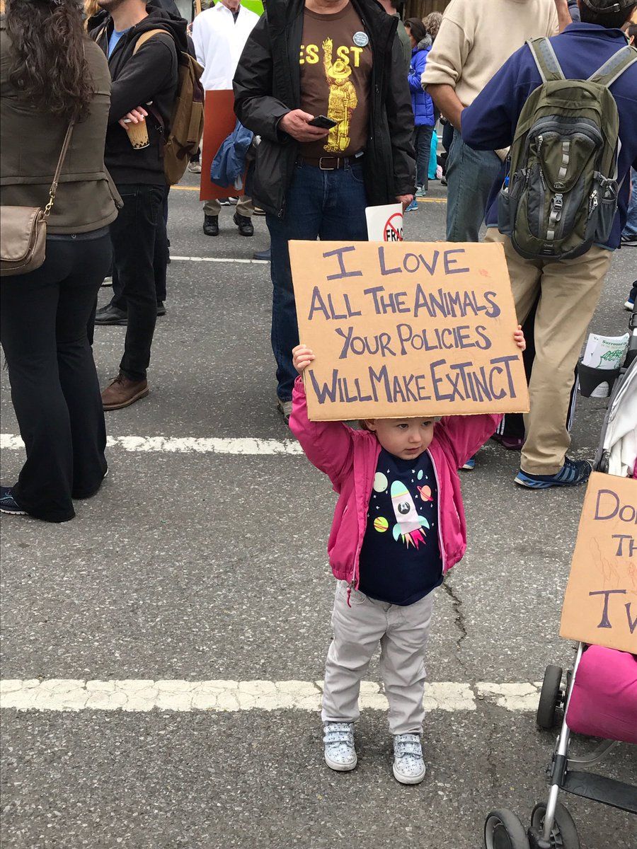 oh my god twitter doesn’t include alt text from images in their API