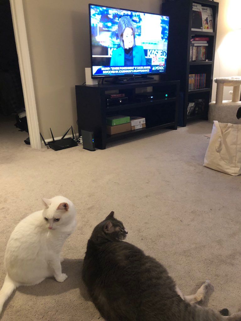 oh my god twitter doesn’t include alt text from images in their API