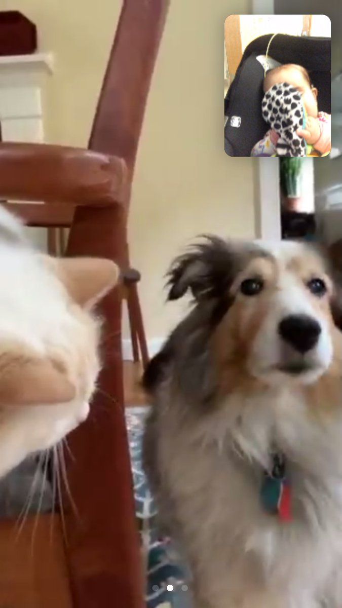 oh my god twitter doesn’t include alt text from images in their API