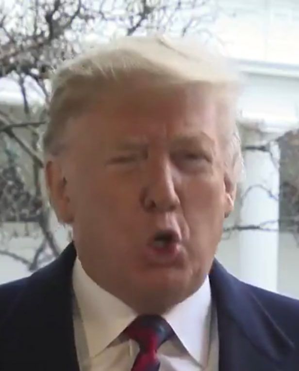 oh my god twitter doesn’t include alt text from images in their API