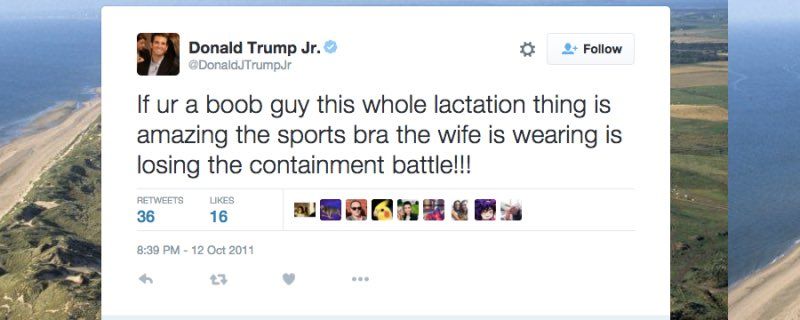 oh my god twitter doesn’t include alt text from images in their API